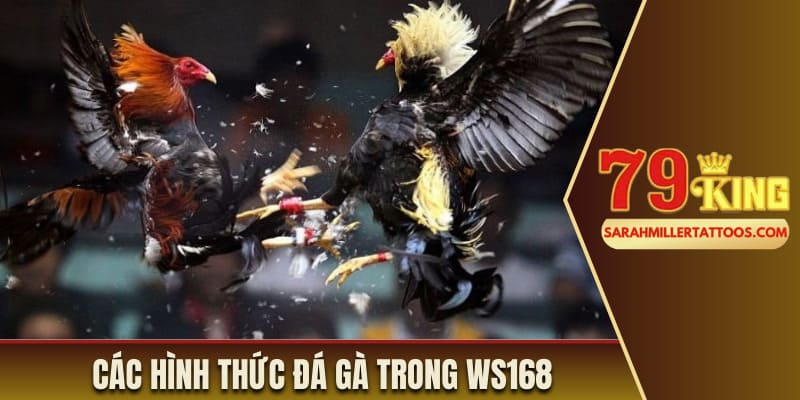 Các hình thức đá gà trong Ws168