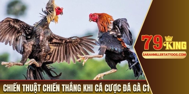 Chiến thuật hay để chiến thắng khi cá cược đá gà C1