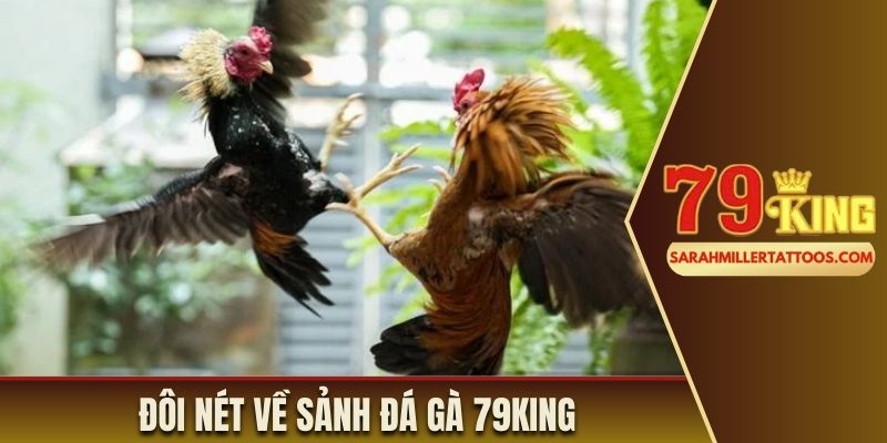 Đôi nét về sảnh đá gà 79King