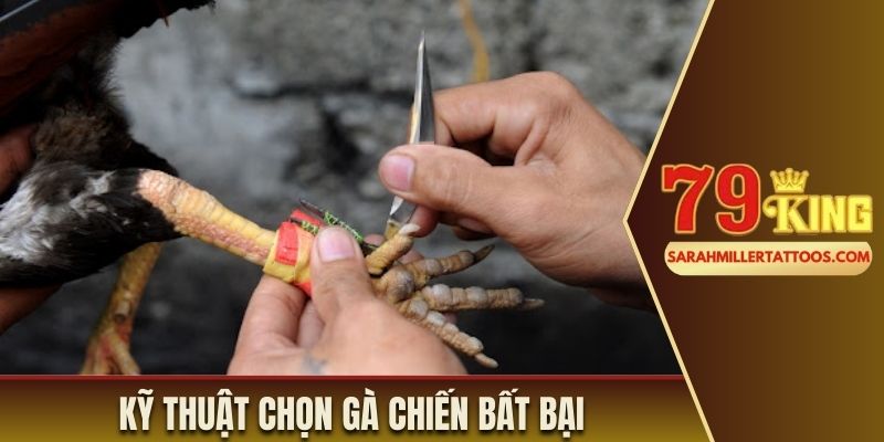 Kỹ thuật chọn gà chiến bất bại 