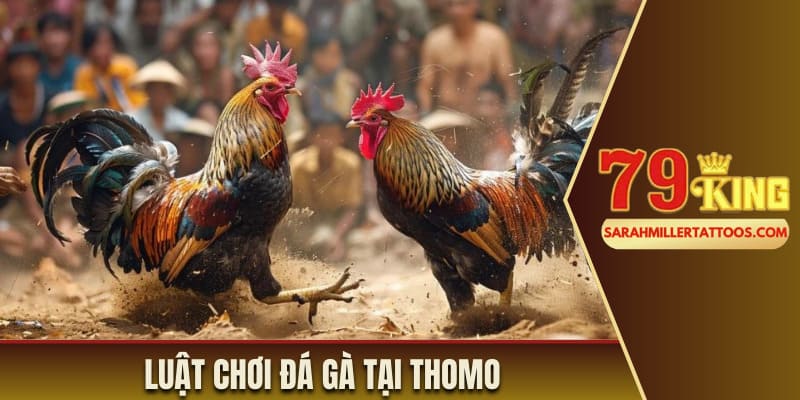 Luật chơi đá gà tại Thomo