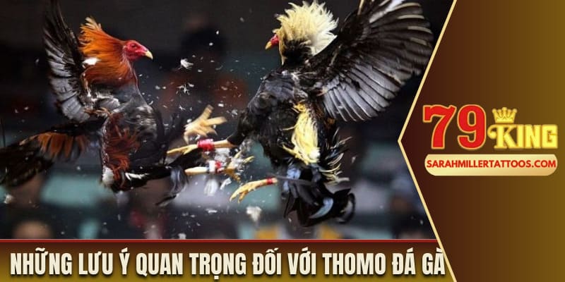 Những lưu ý quan trọng đối với Thomo đá gà 