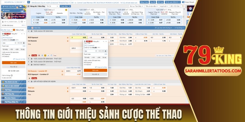 Thông tin giới thiệu sảnh cược thể thao hấp dẫn 