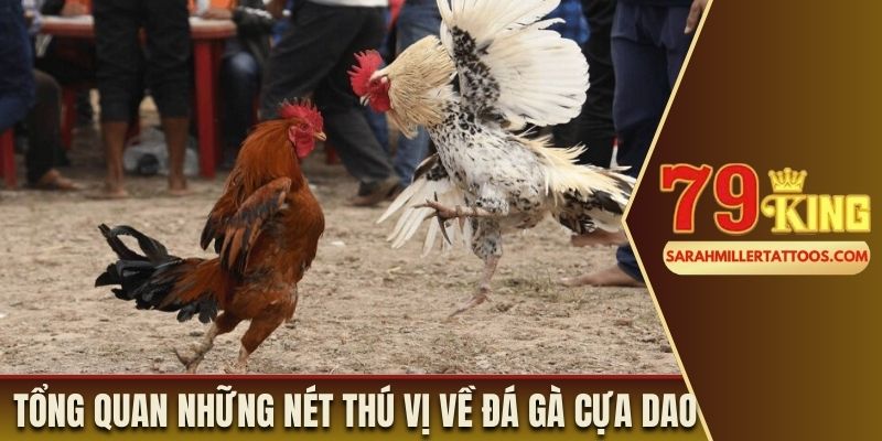 Tổng quan những nét thú vị về đá gà cựa dao